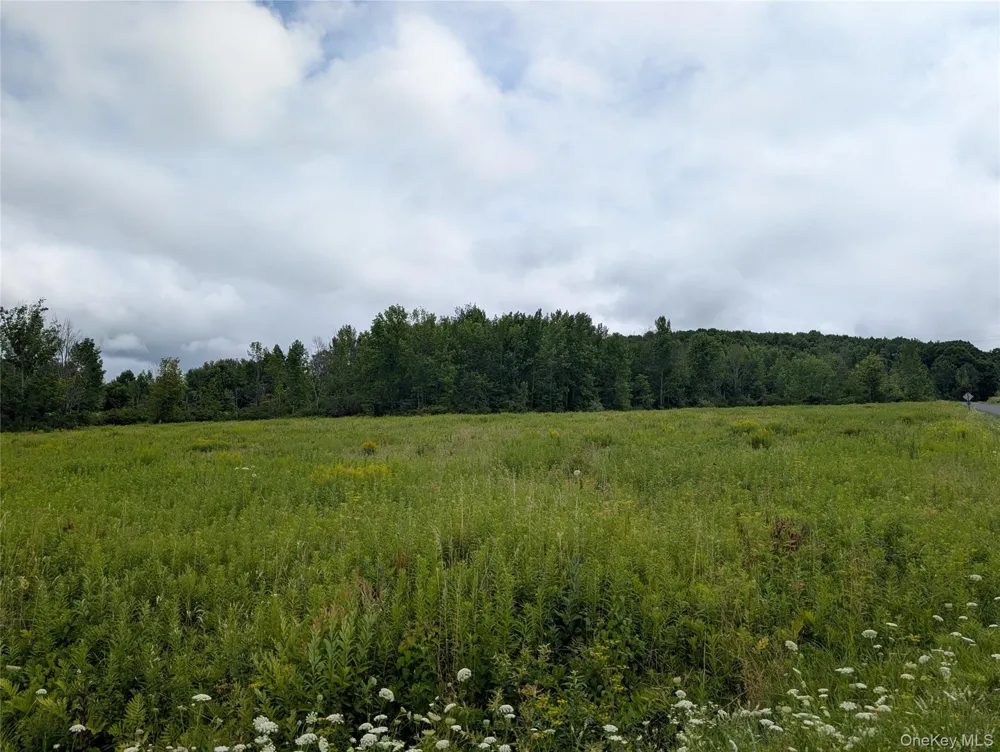 Hubbell Hill Road Margaretville, NY 12455