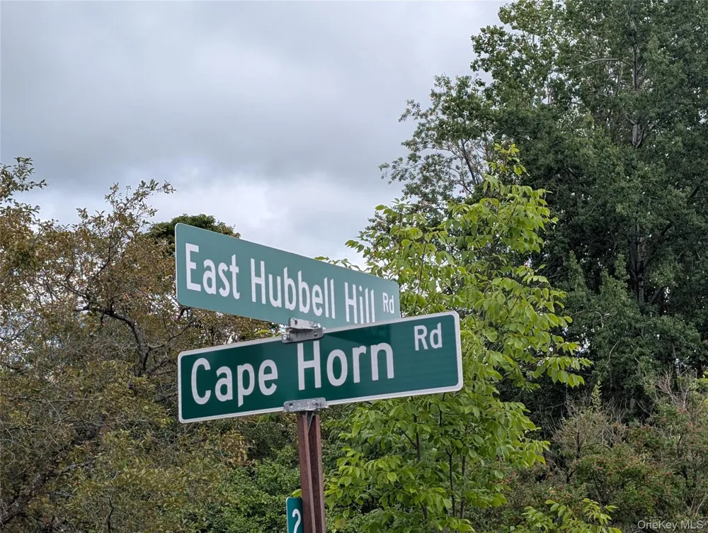 Hubbell Hill Road Margaretville, NY 12455