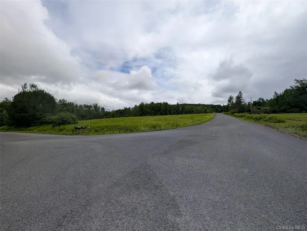 Hubbell Hill Road Margaretville, NY 12455