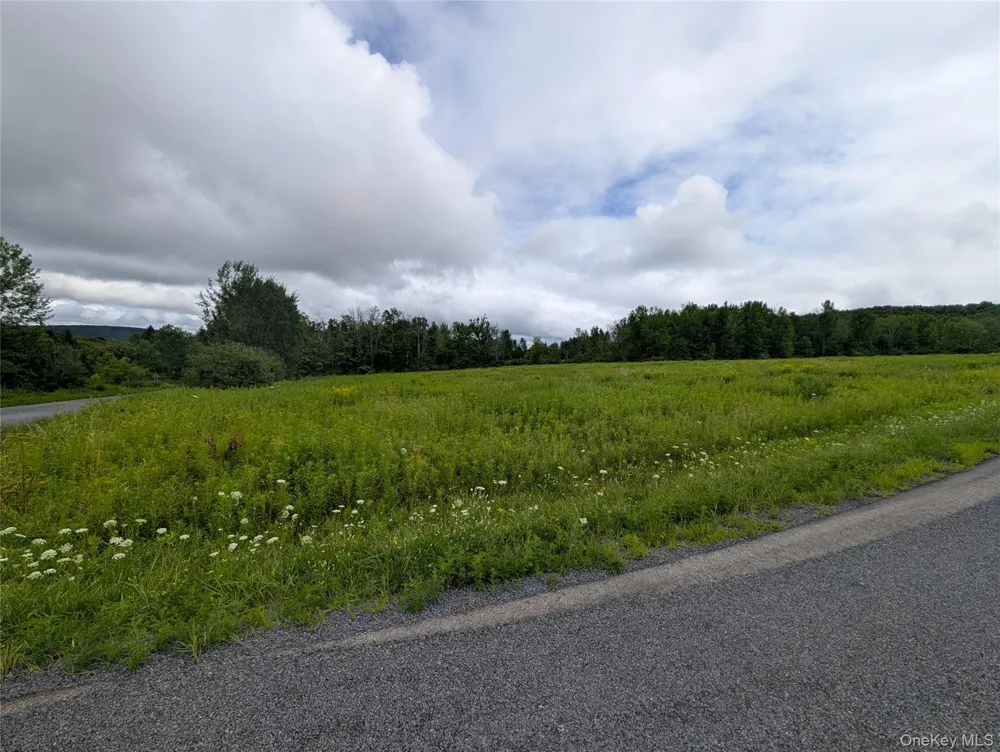 Hubbell Hill Road Margaretville, NY 12455