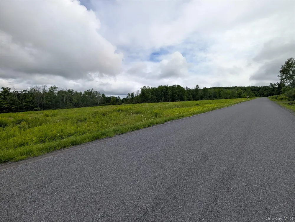 Hubbell Hill Road Margaretville, NY 12455