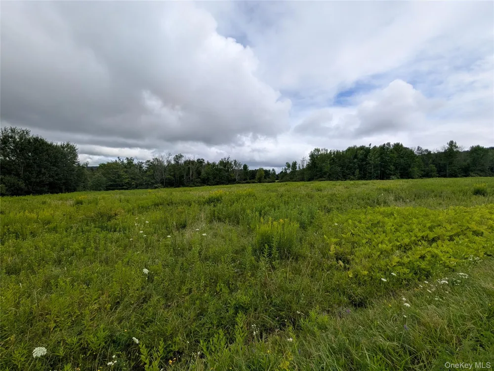 Hubbell Hill Road Margaretville, NY 12455