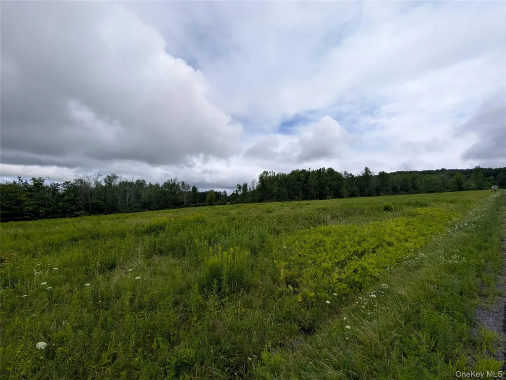 Hubbell Hill Road Margaretville, NY 12455