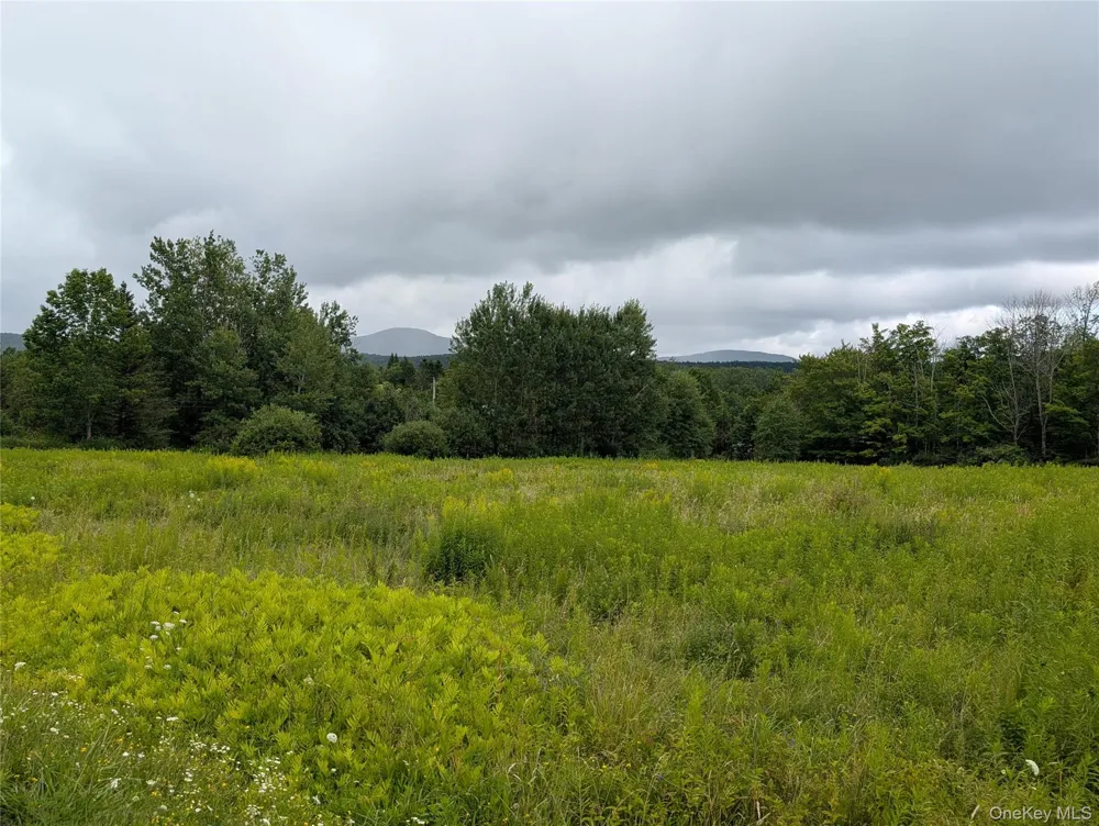 Hubbell Hill Road Margaretville, NY 12455