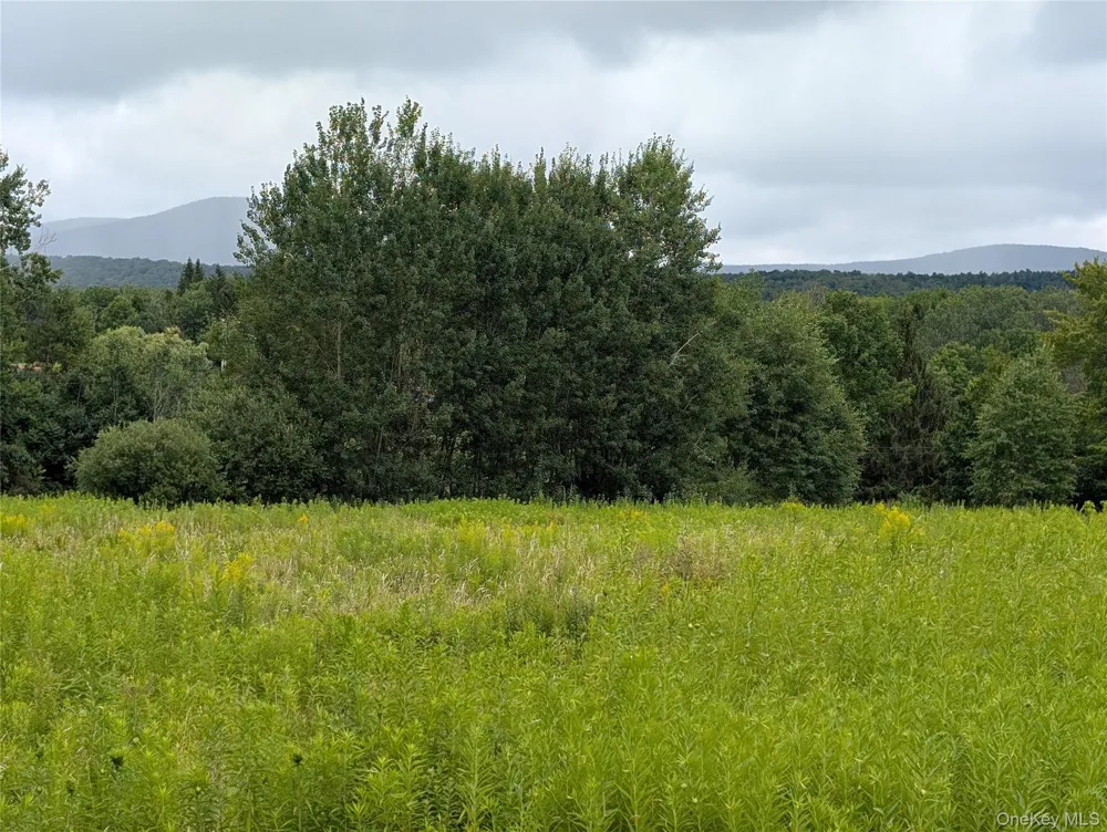 Hubbell Hill Road Margaretville, NY 12455
