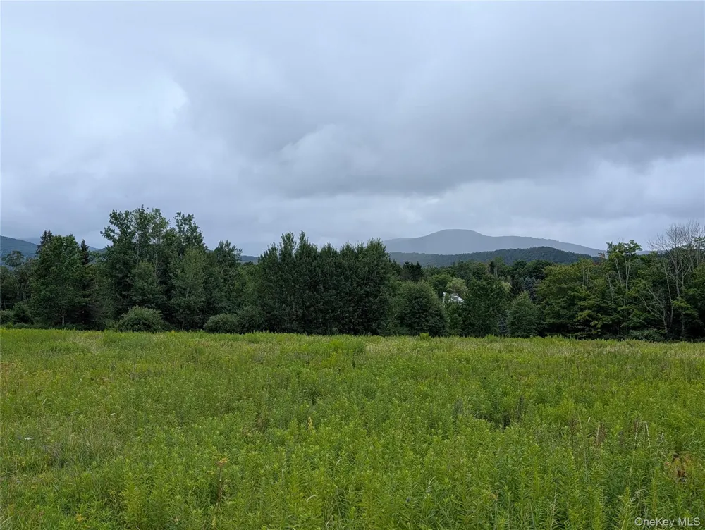 Hubbell Hill Road Margaretville, NY 12455