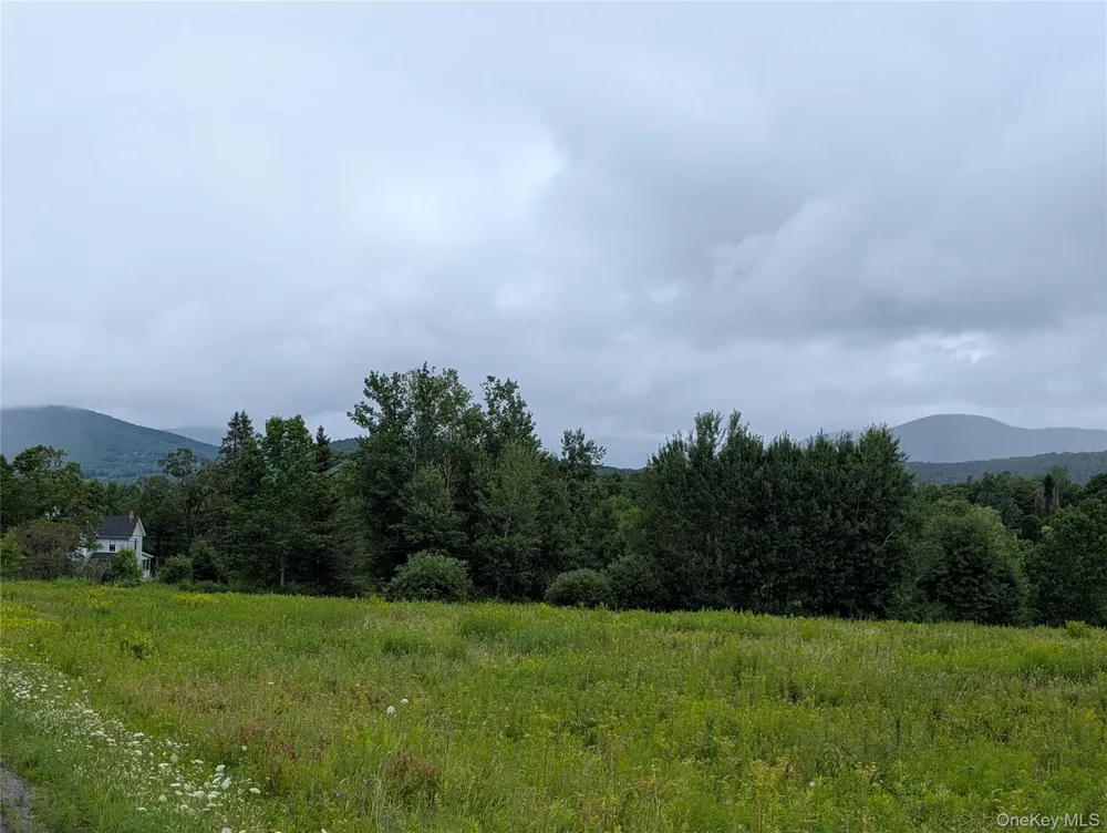 Hubbell Hill Road Margaretville, NY 12455