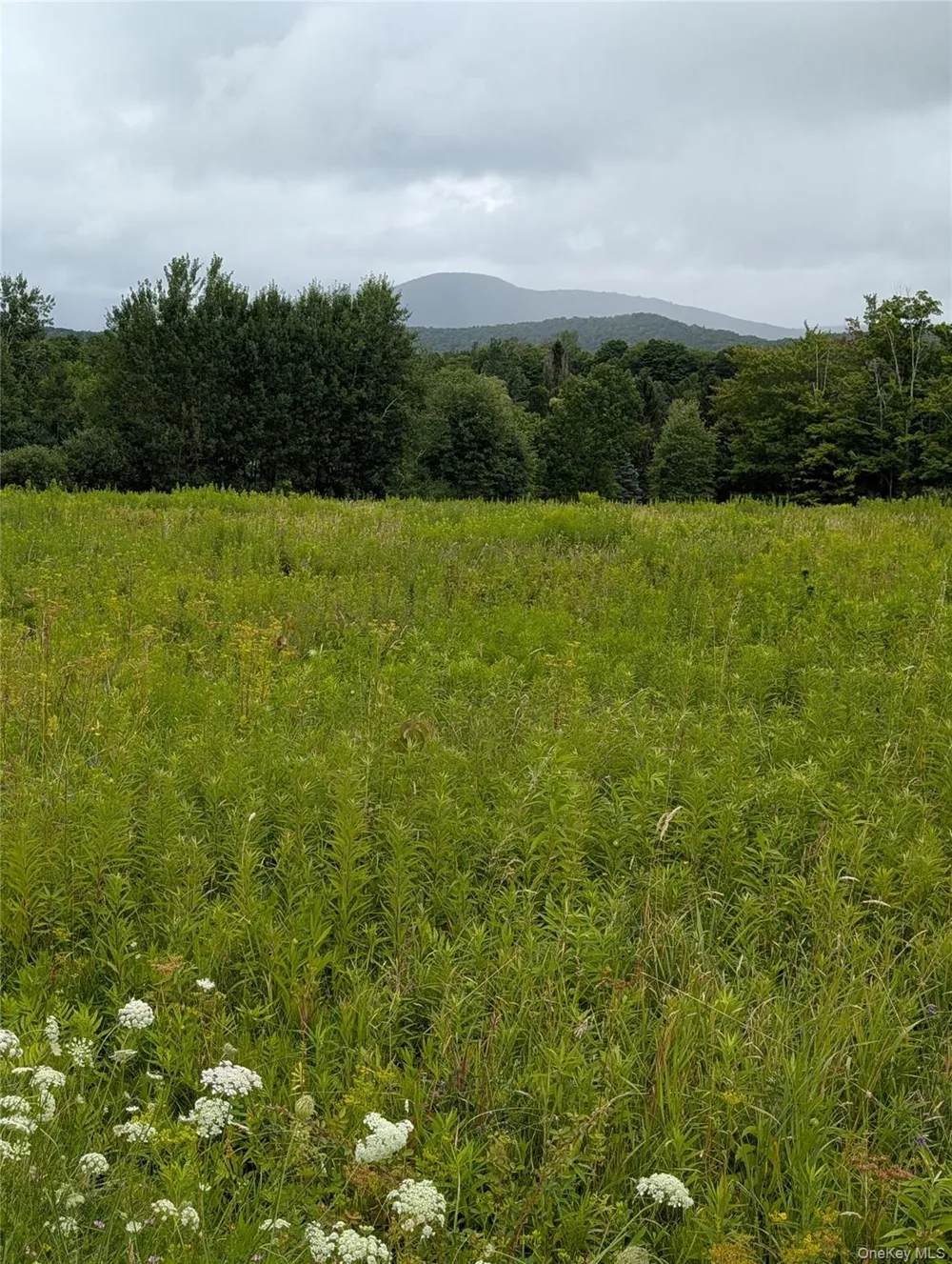 Hubbell Hill Road Margaretville, NY 12455