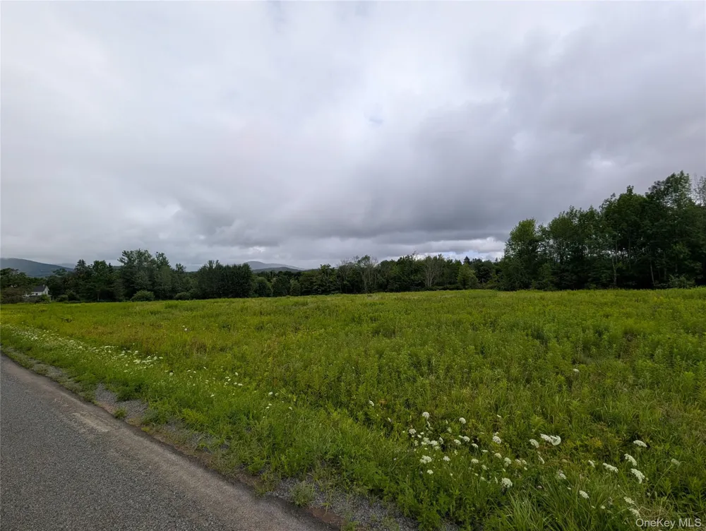 Hubbell Hill Road Margaretville, NY 12455