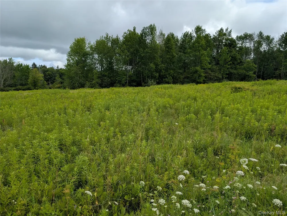 Hubbell Hill Road Margaretville, NY 12455