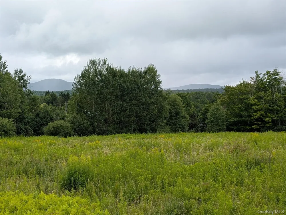 Hubbell Hill Road Margaretville, NY 12455