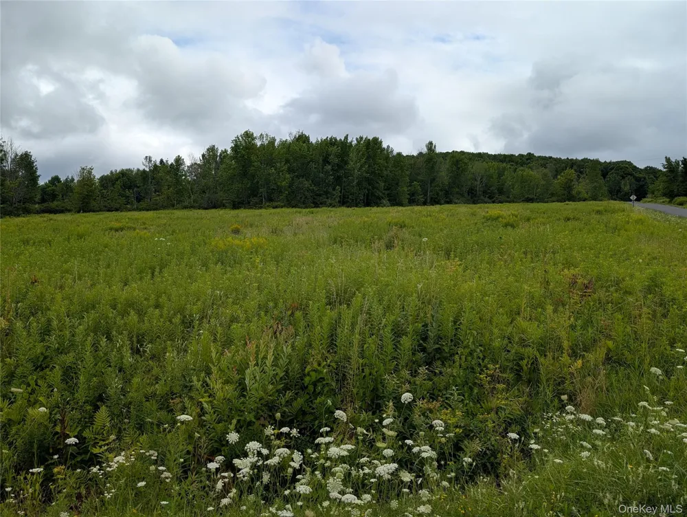 Hubbell Hill Road Margaretville, NY 12455