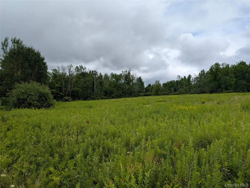 Hubbell Hill Road Margaretville, NY 12455