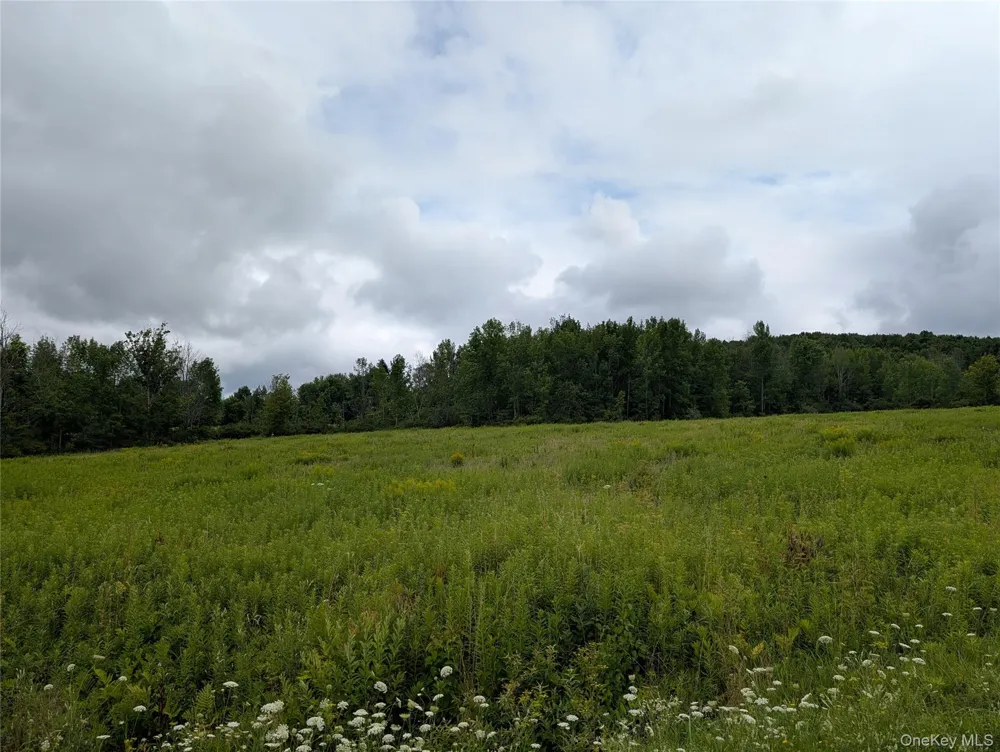Hubbell Hill Road Margaretville, NY 12455