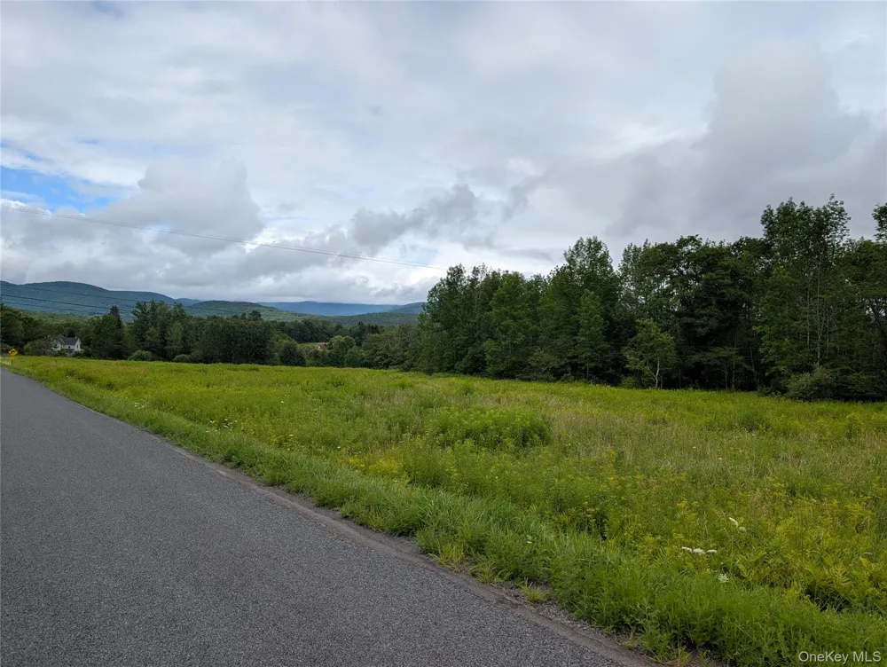 Hubbell Hill Road Margaretville, NY 12455