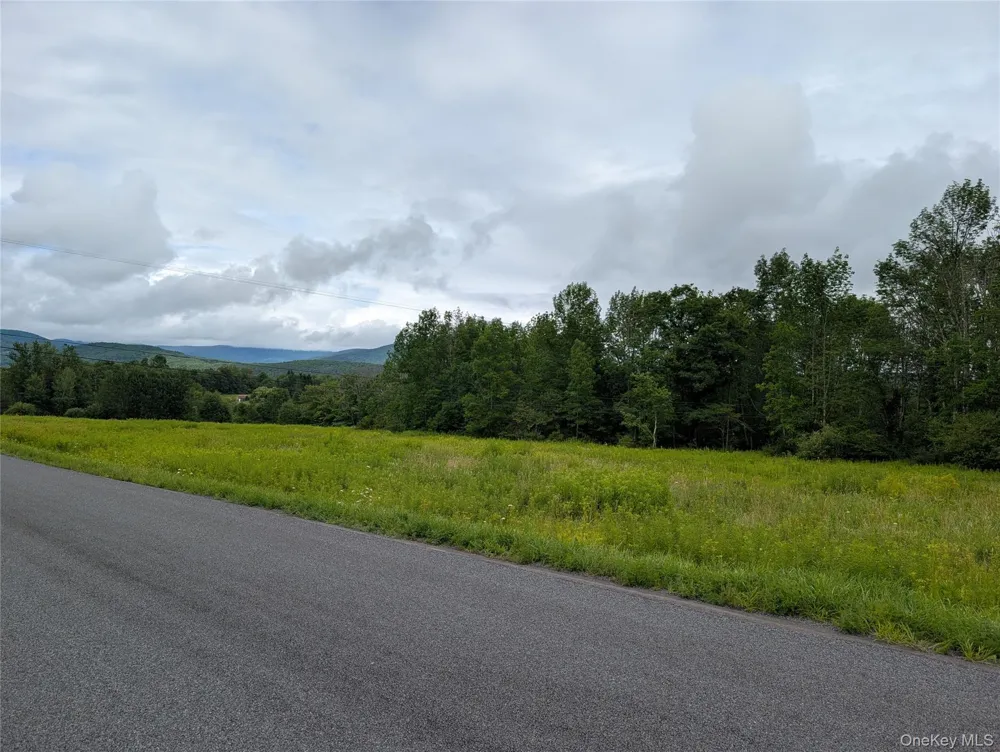 Hubbell Hill Road Margaretville, NY 12455