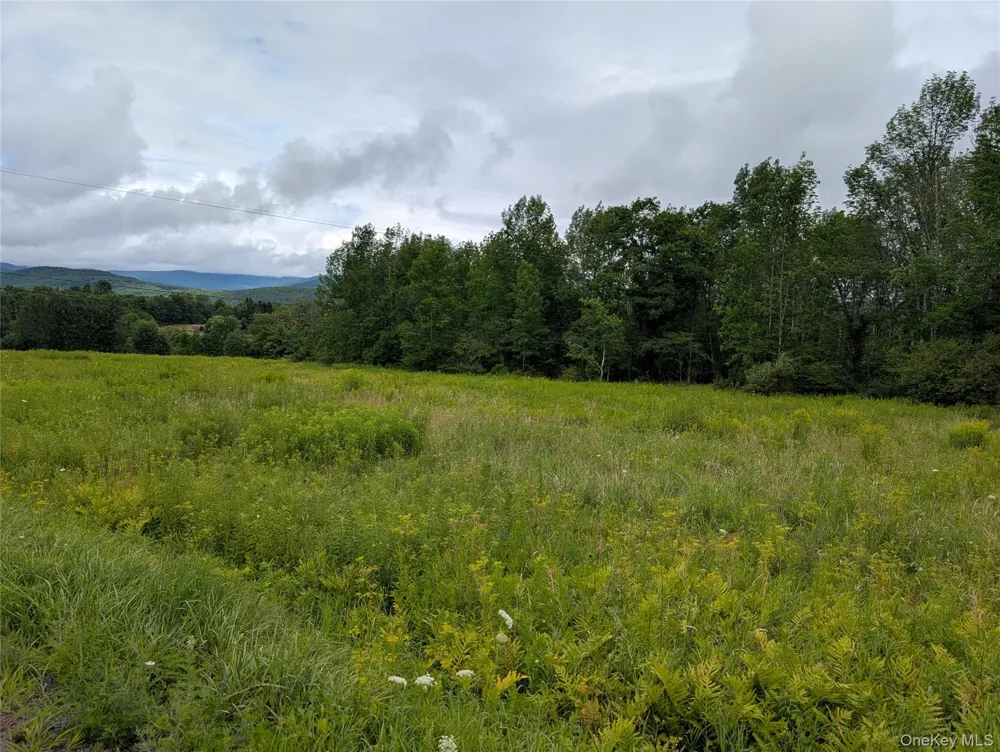 Hubbell Hill Road Margaretville, NY 12455