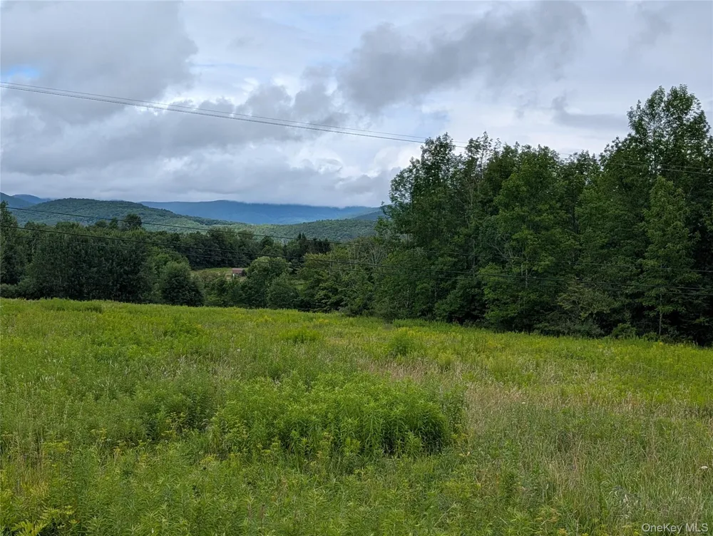 Hubbell Hill Road Margaretville, NY 12455