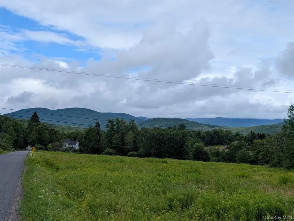 Hubbell Hill Road Margaretville, NY 12455