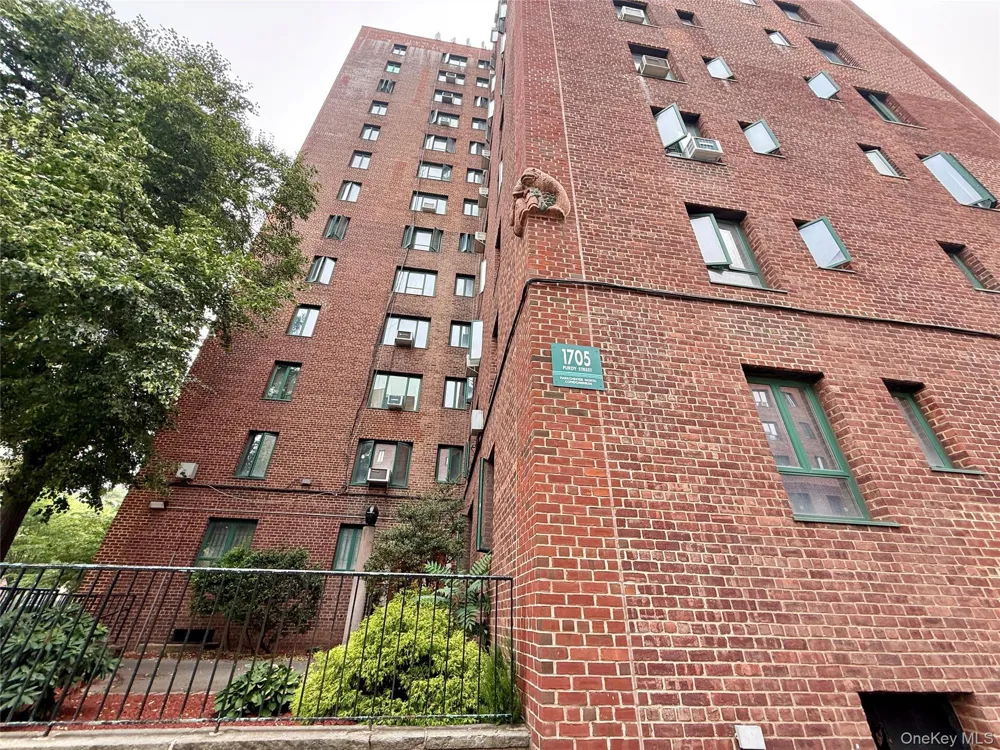 1705 Purdy Street #3C Bronx, NY 10462