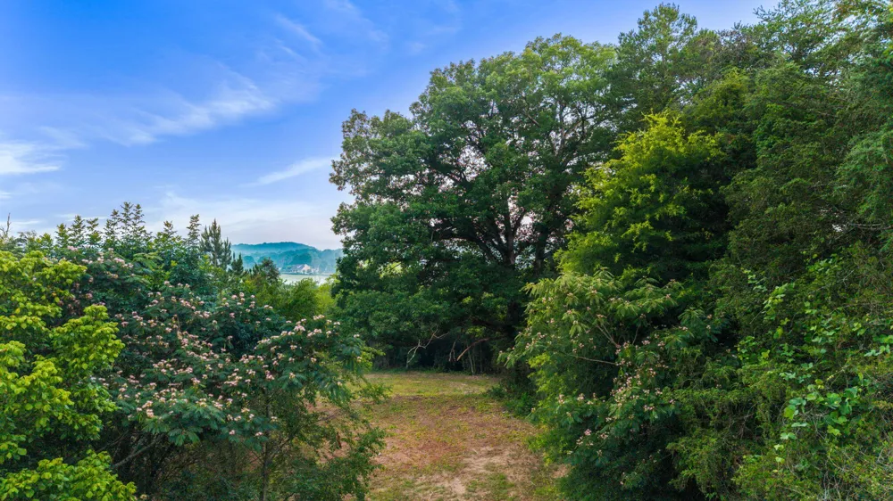 259 County Road 60 Athens, TN 37303