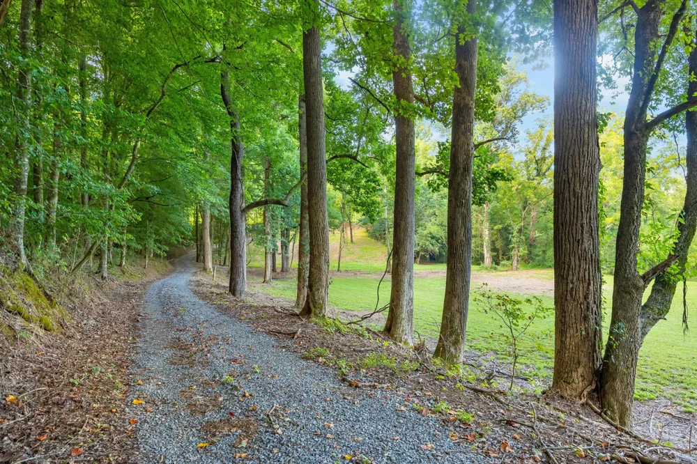 259 County Road 60 Athens, TN 37303