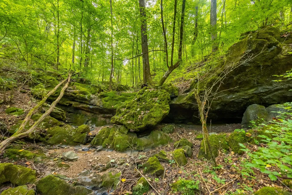 259 County Road 60 Athens, TN 37303