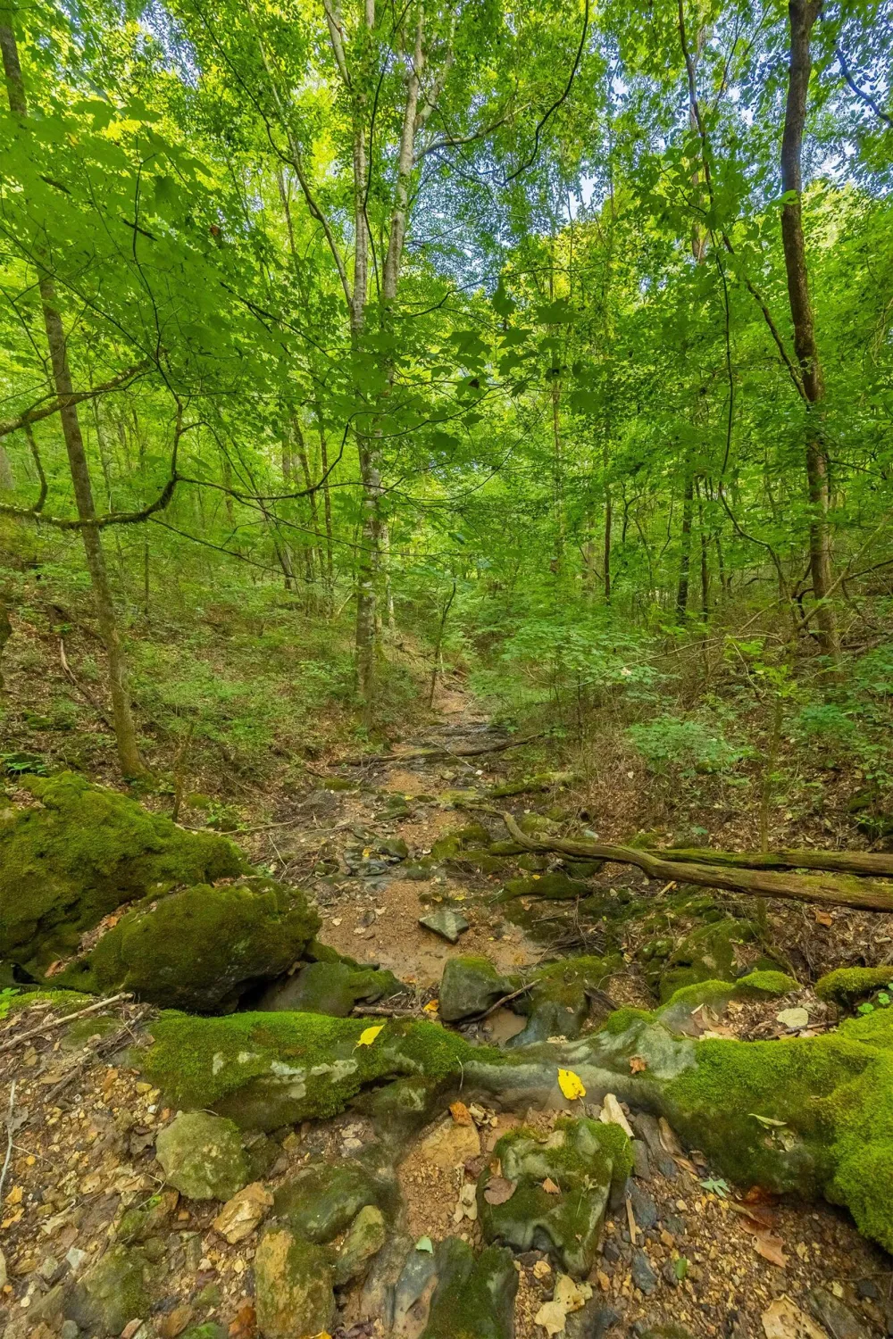 259 County Road 60 Athens, TN 37303