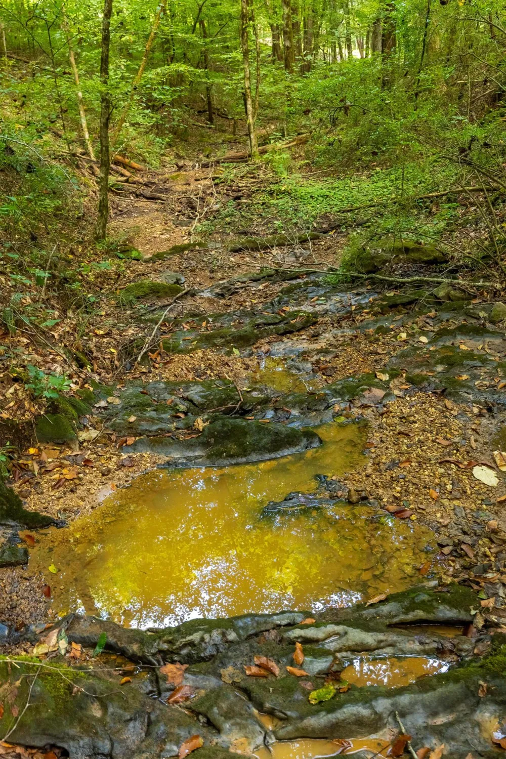259 County Road 60 Athens, TN 37303