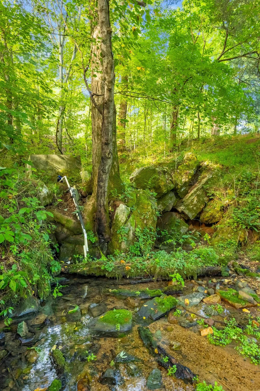 259 County Road 60 Athens, TN 37303