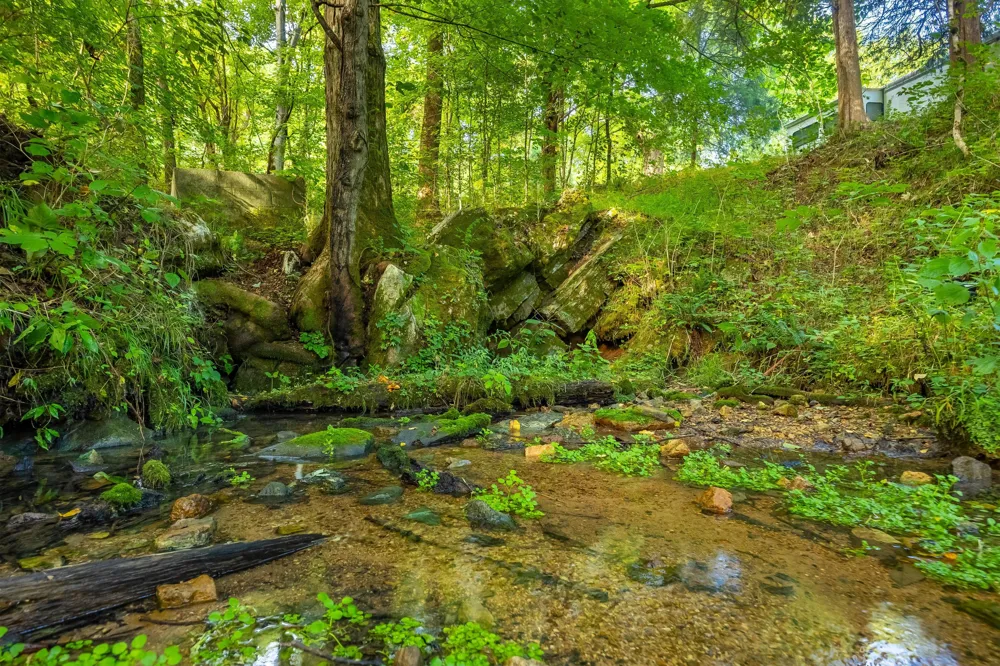 259 County Road 60 Athens, TN 37303