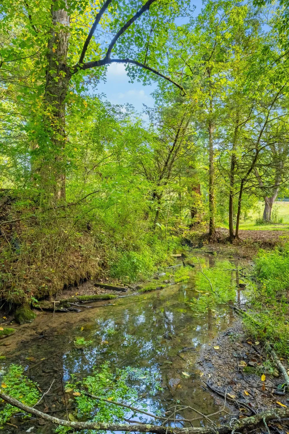 259 County Road 60 Athens, TN 37303