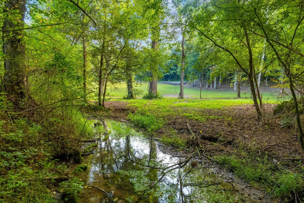259 County Road 60 Athens, TN 37303