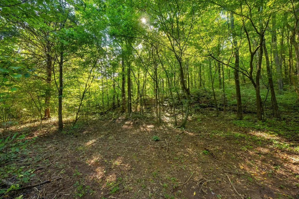 259 County Road 60 Athens, TN 37303