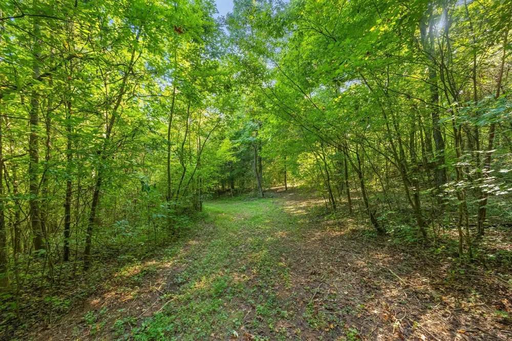 259 County Road 60 Athens, TN 37303