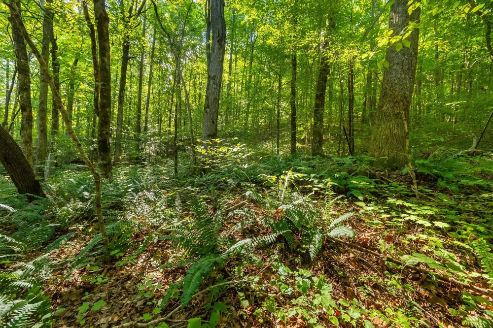 259 County Road 60 Athens, TN 37303