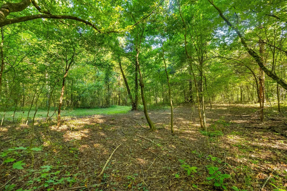 259 County Road 60 Athens, TN 37303