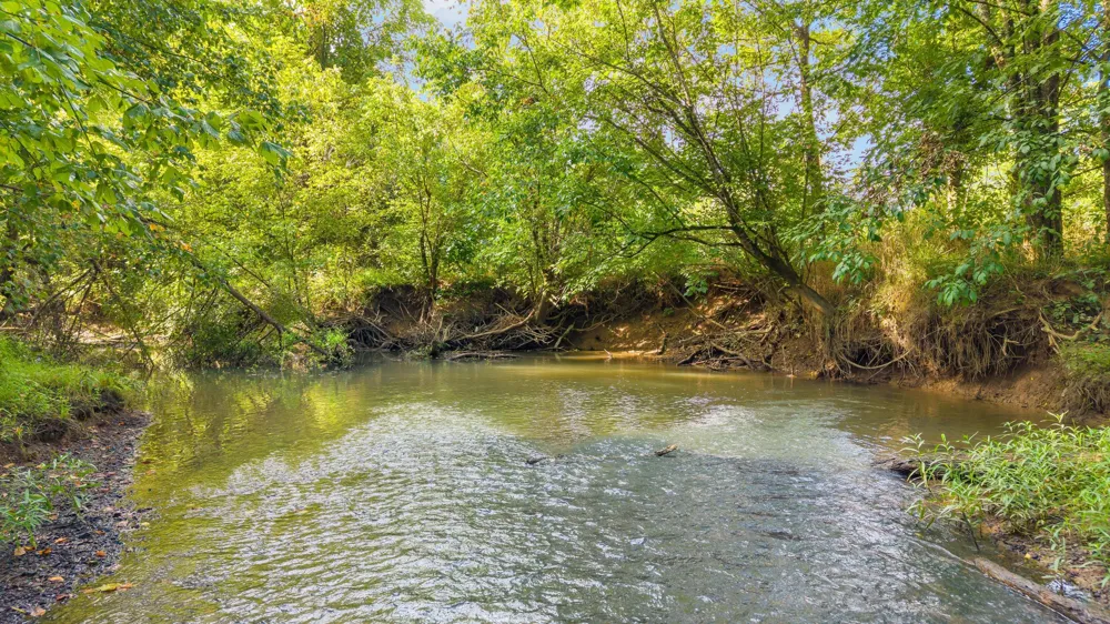 259 County Road 60 Athens, TN 37303