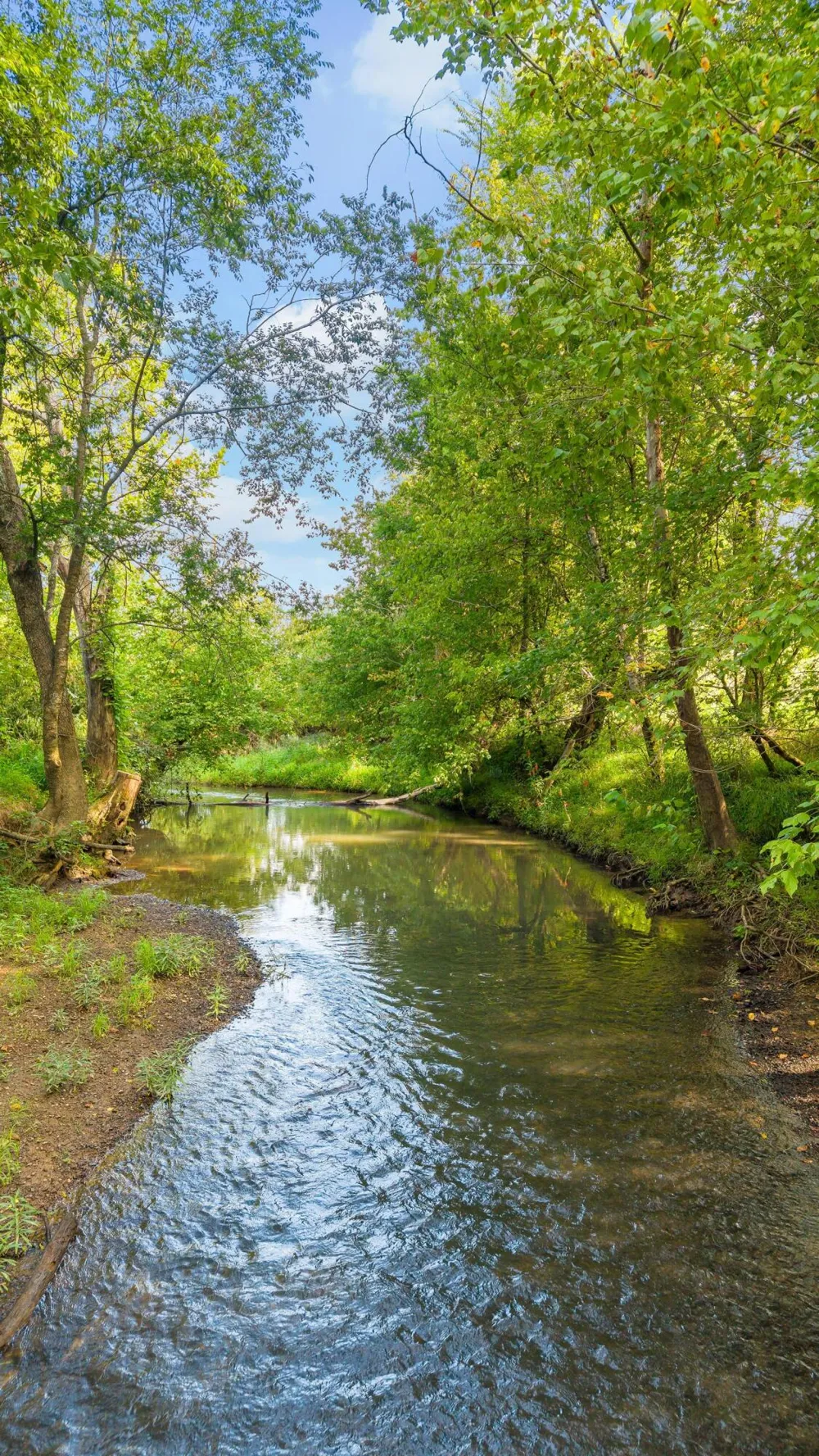 259 County Road 60 Athens, TN 37303