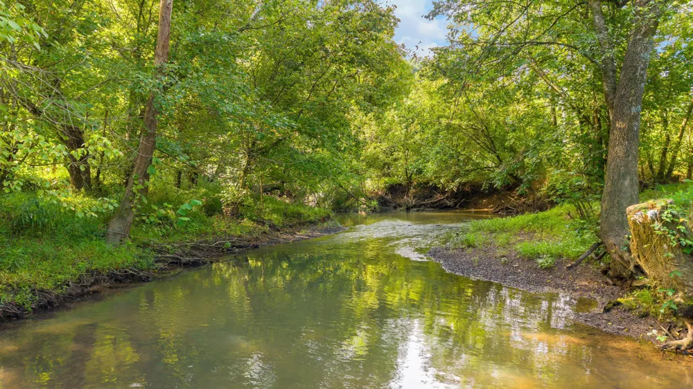 259 County Road 60 Athens, TN 37303