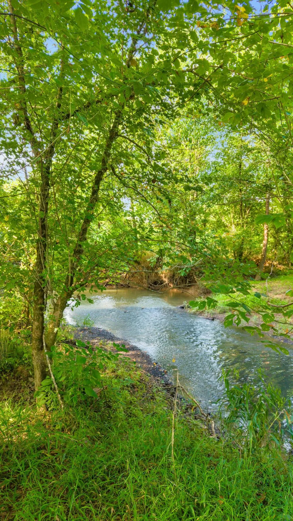 259 County Road 60 Athens, TN 37303