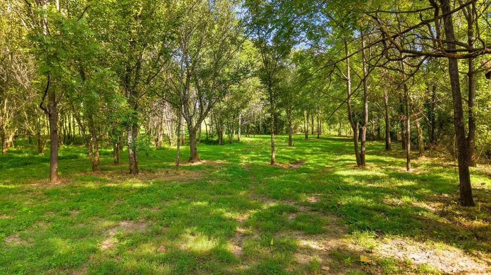 259 County Road 60 Athens, TN 37303