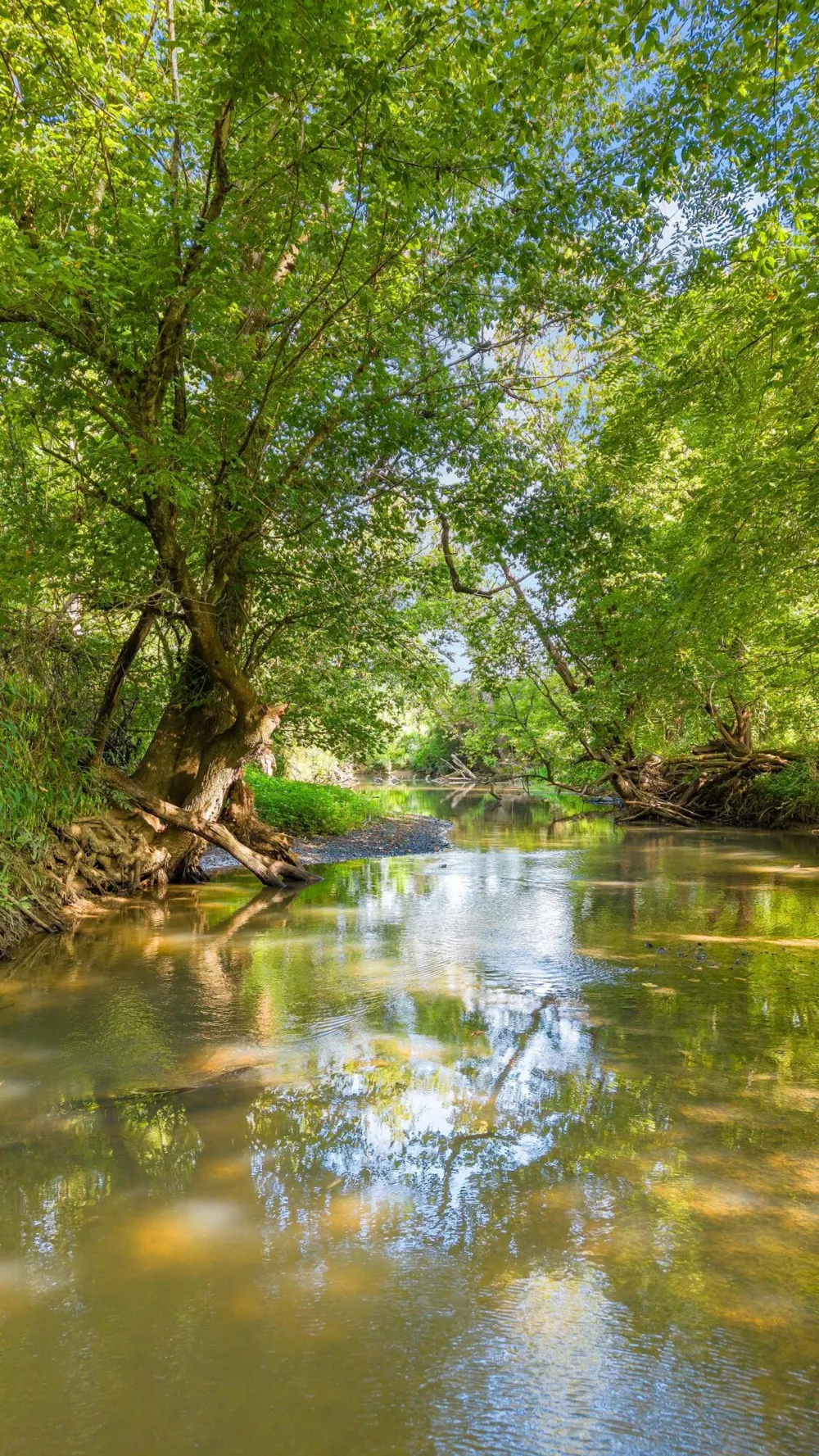 259 County Road 60 Athens, TN 37303