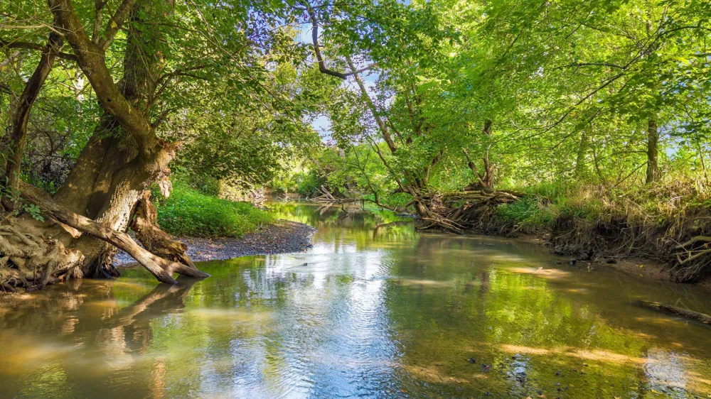 259 County Road 60 Athens, TN 37303