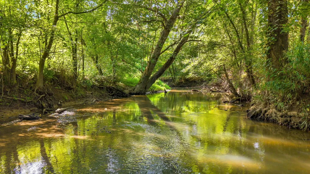 259 County Road 60 Athens, TN 37303