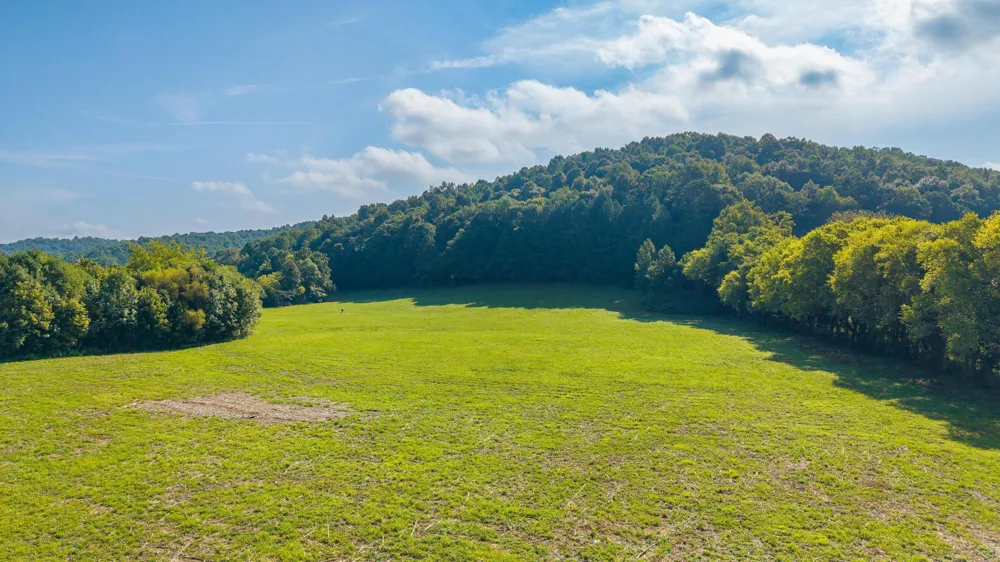 259 County Road 60 Athens, TN 37303