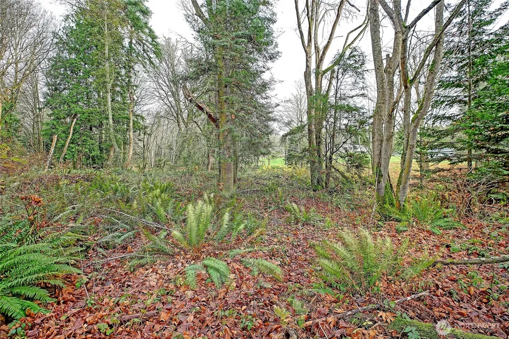 0 xxx S Camano Drive Camano Island, WA 98282