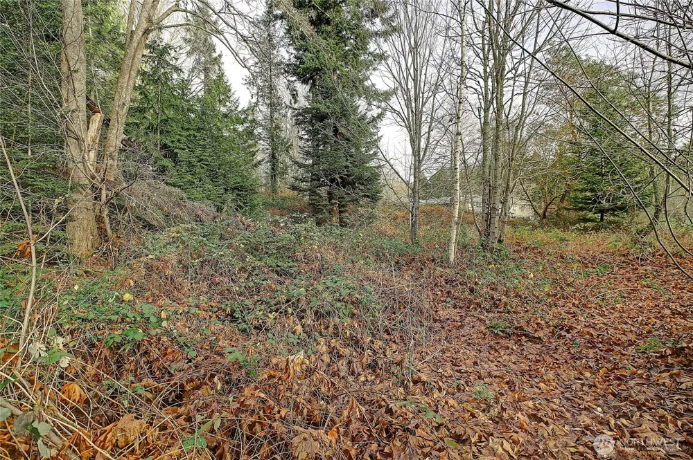 0 xxx S Camano Drive Camano Island, WA 98282