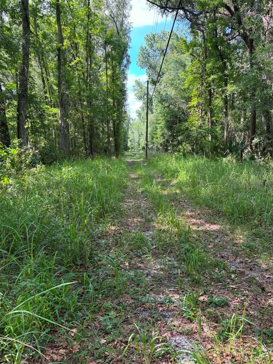 12168 PONCE DE LEON BOULEVARD Brooksville, FL 34601