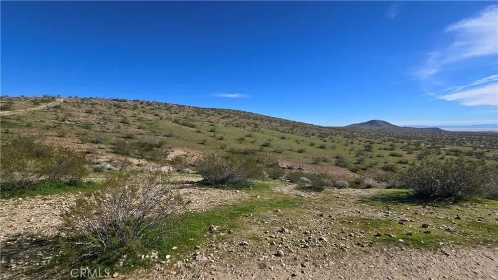 Near United St & Barrington Ave Rosamond, CA 93560